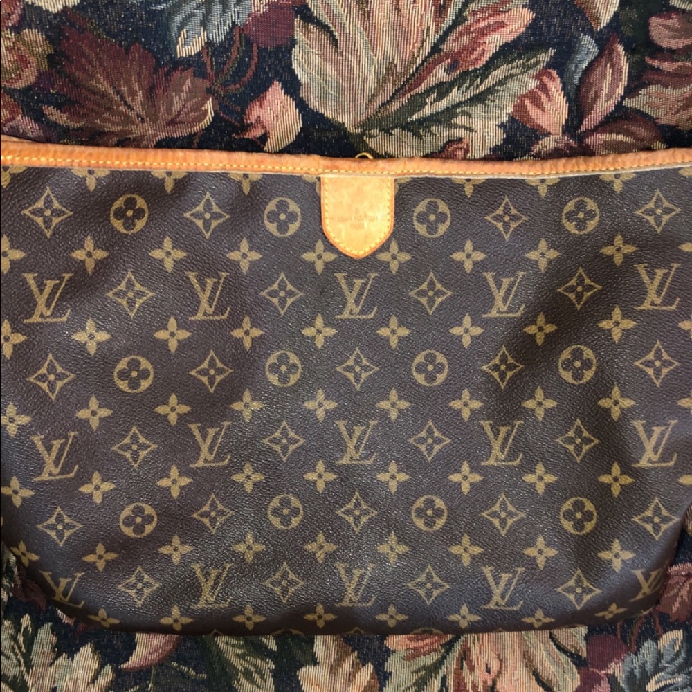 Louis Vuitton purse